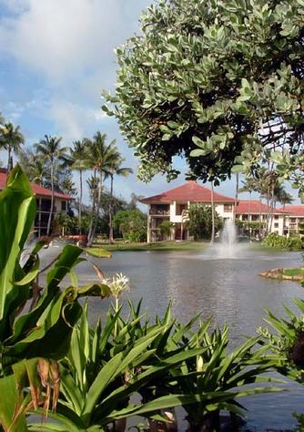 Lihue Area House